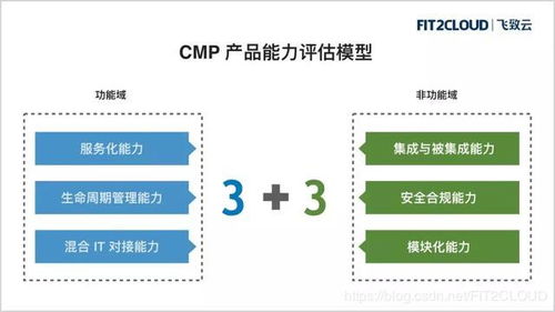 觀點 企業(yè)云管平臺 cmp 項目成功的關鍵因素